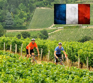 Culinary cycling tour in France Loire and Burgundy