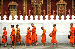 Luang Prabang monks